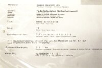 Bosch Rexroth DBDS 30 K19/315E Federbelastetes Sicherheitsventil R900769291 Unused