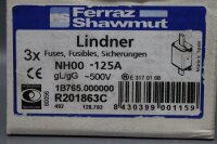 Ferraz Shawmut Lindner NH00-125A Sicherung used