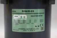 Oriental Motor BHI62E-G2 Induction motor 200W 220/230VAC 1.5A Used
