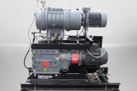 Edwards GV250+EH2600+GBOXVENT+SIL+GAS BAL. Pumping System NRB488000 8L/Min Used