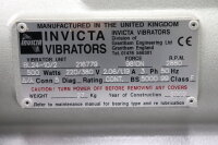 Invicta Vibrators BL24-10/2 R&uuml;ttelmotor Vibrationsmotor 2880 1/min unused